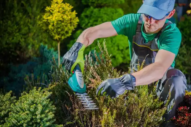 landscaping services Vinton
